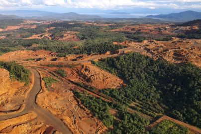 Industri Nikel dan Logam Berat dalam Tubuh Masyarakat Indonesia