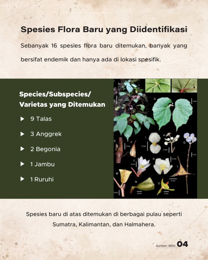 51 Spesies Baru Ditemukan di Indonesia Sepanjang 2025: 32 Fauna, 16 Flora, 3 Mikroba | GoodStats
