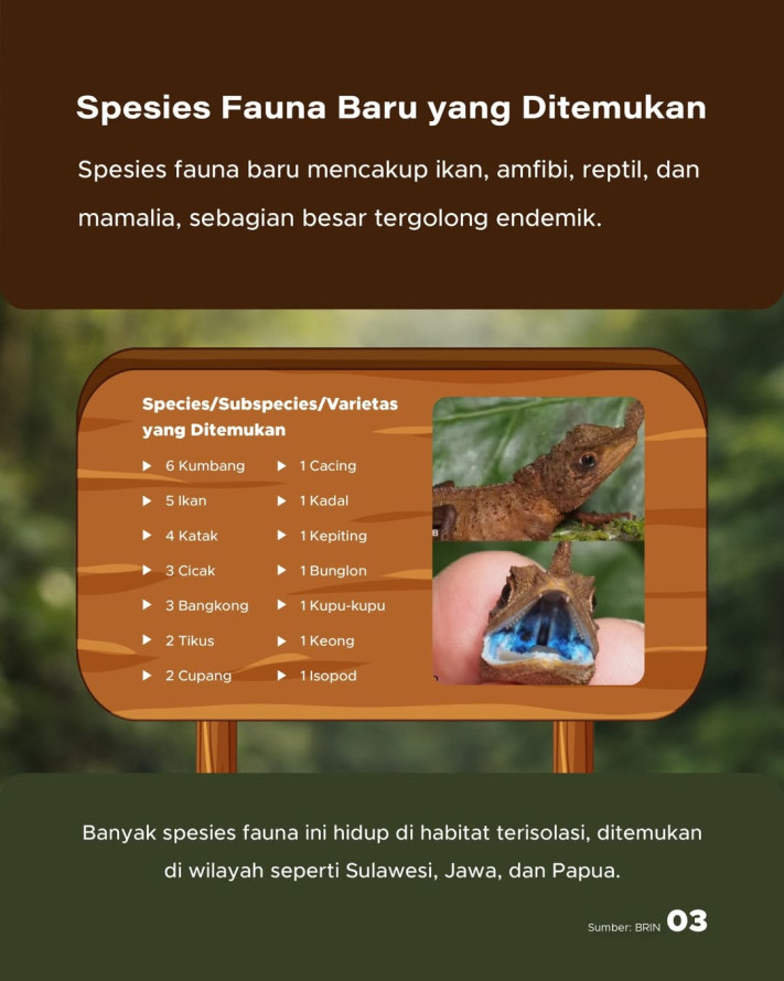 51 Spesies Baru Ditemukan di Indonesia Sepanjang 2025: 32 Fauna, 16 Flora, 3 Mikroba | GoodStats