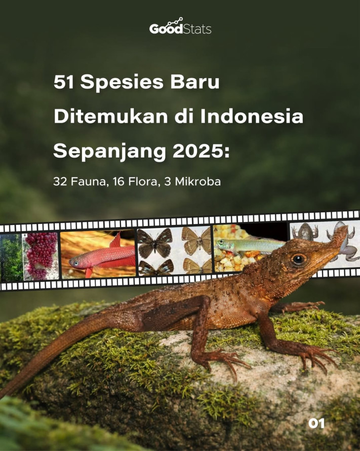 51 Spesies Baru Ditemukan di Indonesia Sepanjang 2025: 32 Fauna, 16 Flora, 3 Mikroba | GoodStats