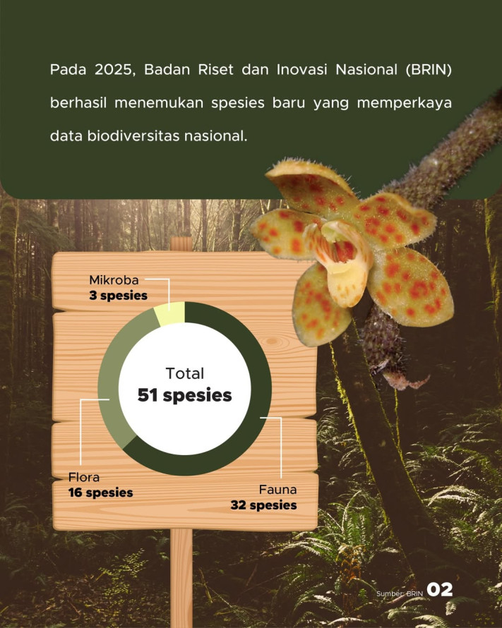 51 Spesies Baru Ditemukan di Indonesia Sepanjang 2025: 32 Fauna, 16 Flora, 3 Mikroba | GoodStats