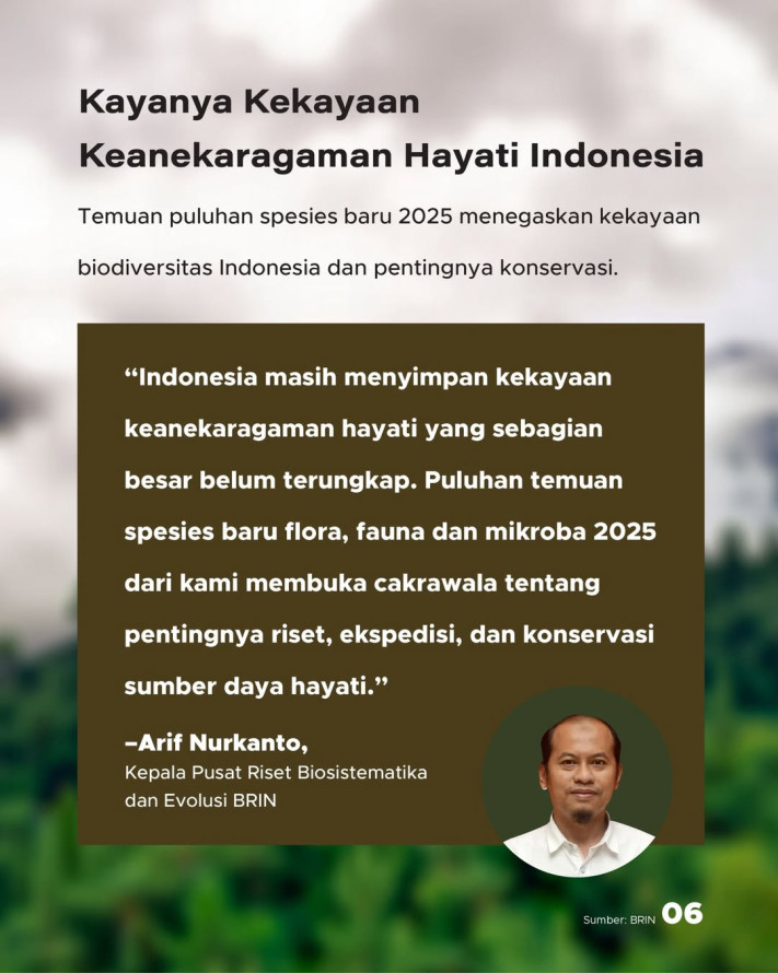 51 Spesies Baru Ditemukan di Indonesia Sepanjang 2025: 32 Fauna, 16 Flora, 3 Mikroba | GoodStats
