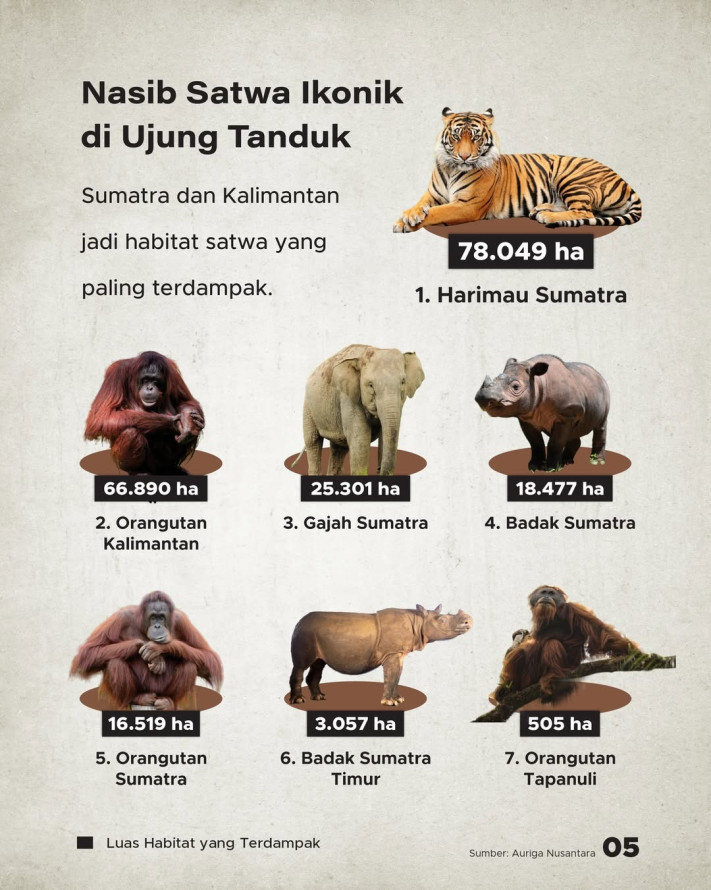 Angka Deforestasi Tembus 433 Ribu Hektare