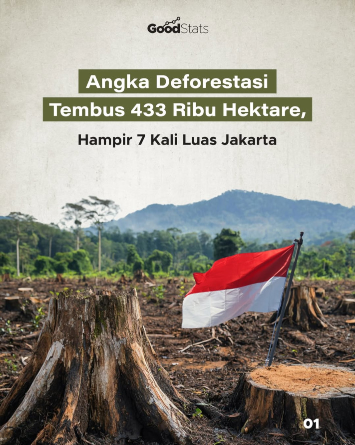 Angka Deforestasi Tembus 433 Ribu Hektare