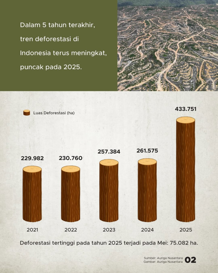 Angka Deforestasi Tembus 433 Ribu Hektare, Hampir 7 Kali Luas Jakarta