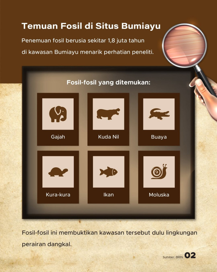 Fosil 1,8 Juta Tahun Ditemukan di Bumiayu, Lebih Tua dari Sangiran | GoodStats