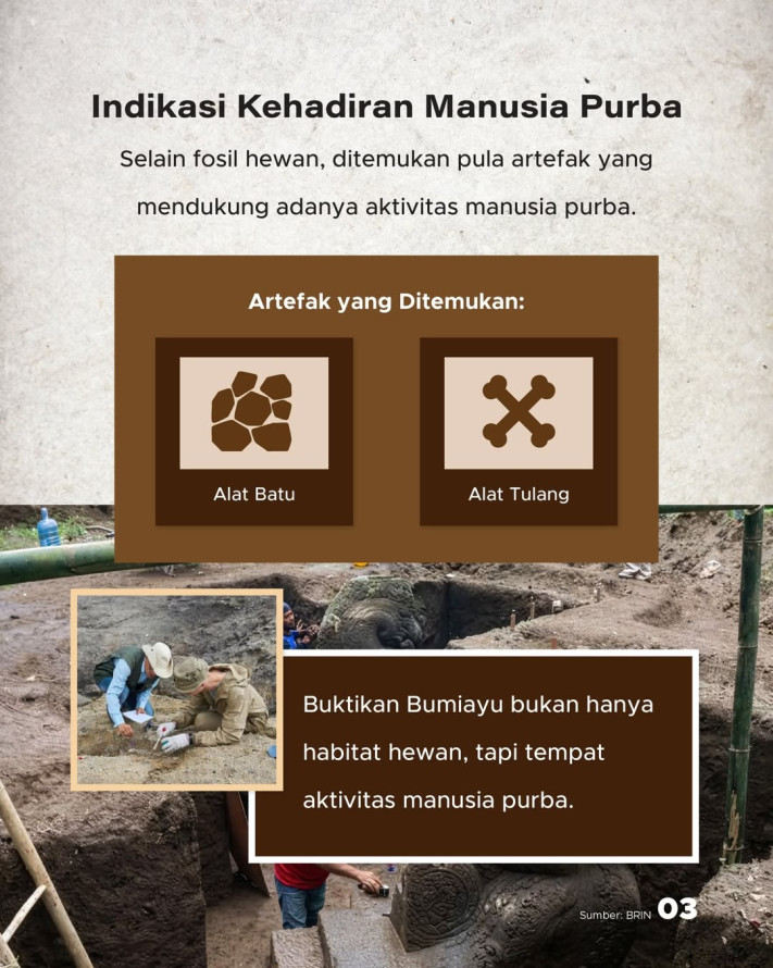 Fosil 1,8 Juta Tahun Ditemukan di Bumiayu, Lebih Tua dari Sangiran | GoodStats