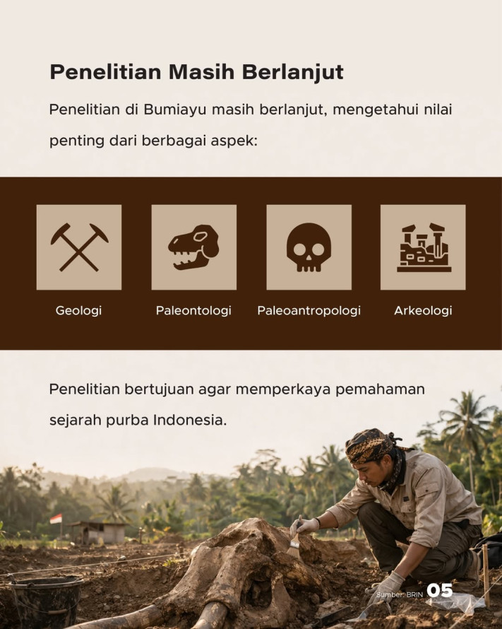 Fosil 1,8 Juta Tahun Ditemukan di Bumiayu, Lebih Tua dari Sangiran | GoodStats