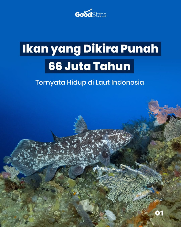 Ikan yang Dikira Punah 66 Juta Tahun Ternyata Hidup di Laut Indonesia
