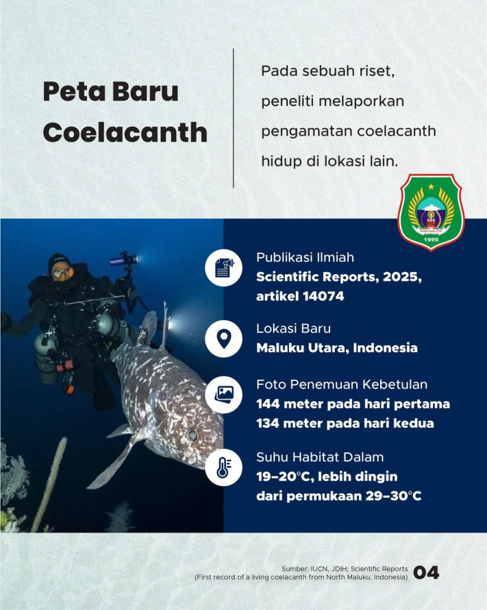 Ikan yang Dikira Punah 66 Juta Tahun Ternyata Hidup di Laut Indonesia