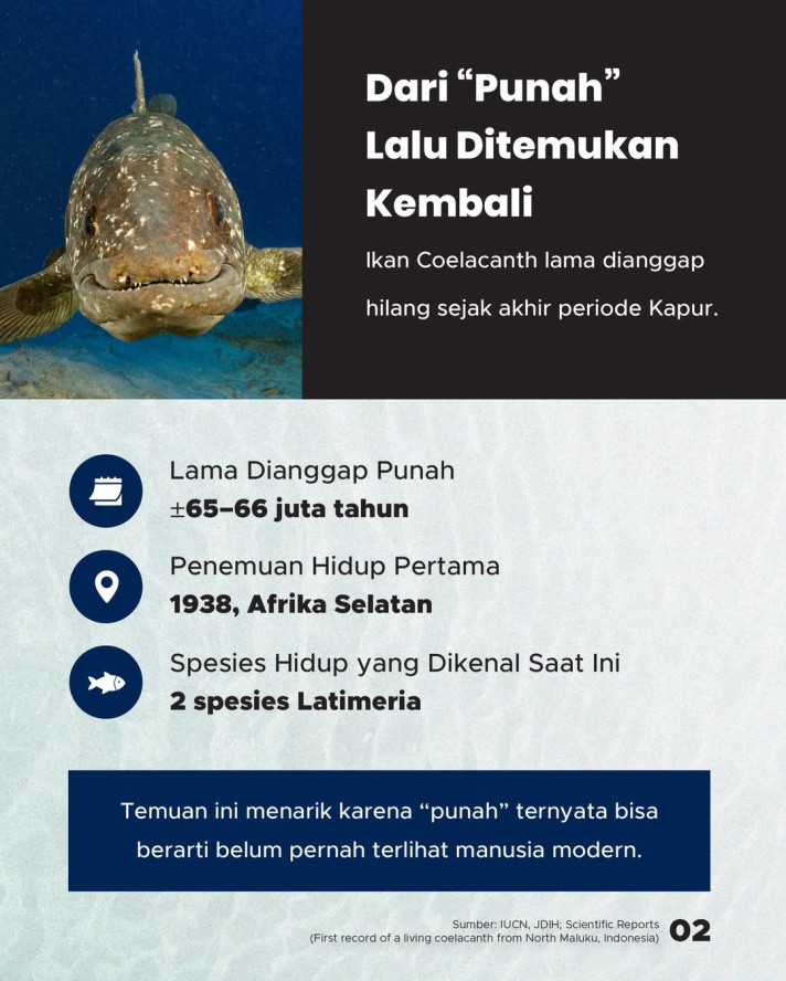 Ikan yang Dikira Punah 66 Juta Tahun Ternyata Hidup di Laut Indonesia