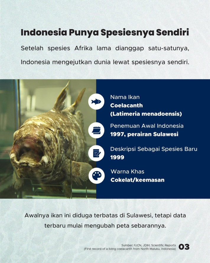 Ikan yang Dikira Punah 66 Juta Tahun Ternyata Hidup di Laut Indonesia