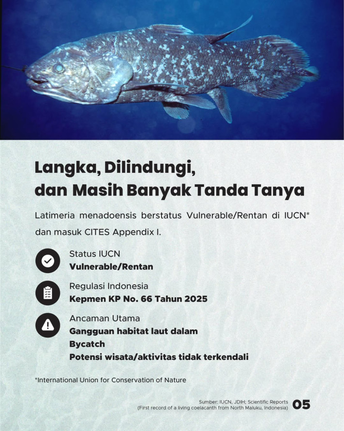 Ikan yang Dikira Punah 66 Juta Tahun Ternyata Hidup di Laut Indonesia