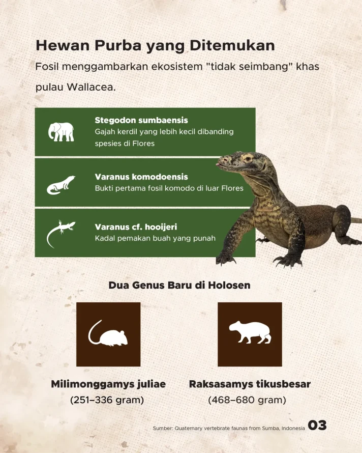 Jejak 'Lost World' 12.000 Tahun Lalu di Sumba, Hewan Purba yang Pernah Hidup di Indonesia Timur