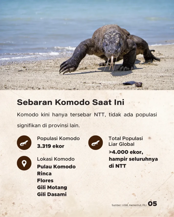 Jejak 'Lost World' 12.000 Tahun Lalu di Sumba, Hewan Purba yang Pernah Hidup di Indonesia Timur
