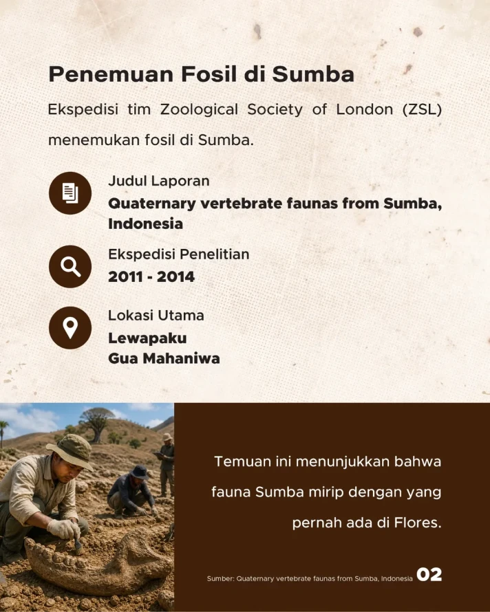 Jejak 'Lost World' 12.000 Tahun Lalu di Sumba, Hewan Purba yang Pernah Hidup di Indonesia Timur