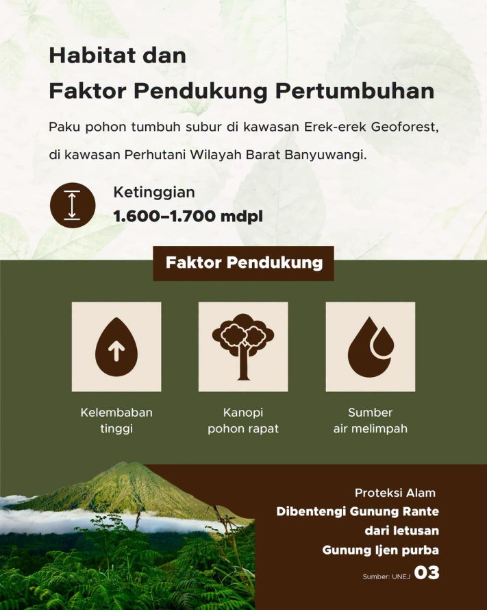 Peneliti UNEJ Ungkap Tanaman Purba Berusia 65 Juta Tahun