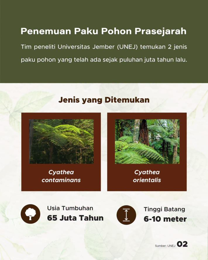 Peneliti UNEJ Ungkap Tanaman Purba Berusia 65 Juta Tahun