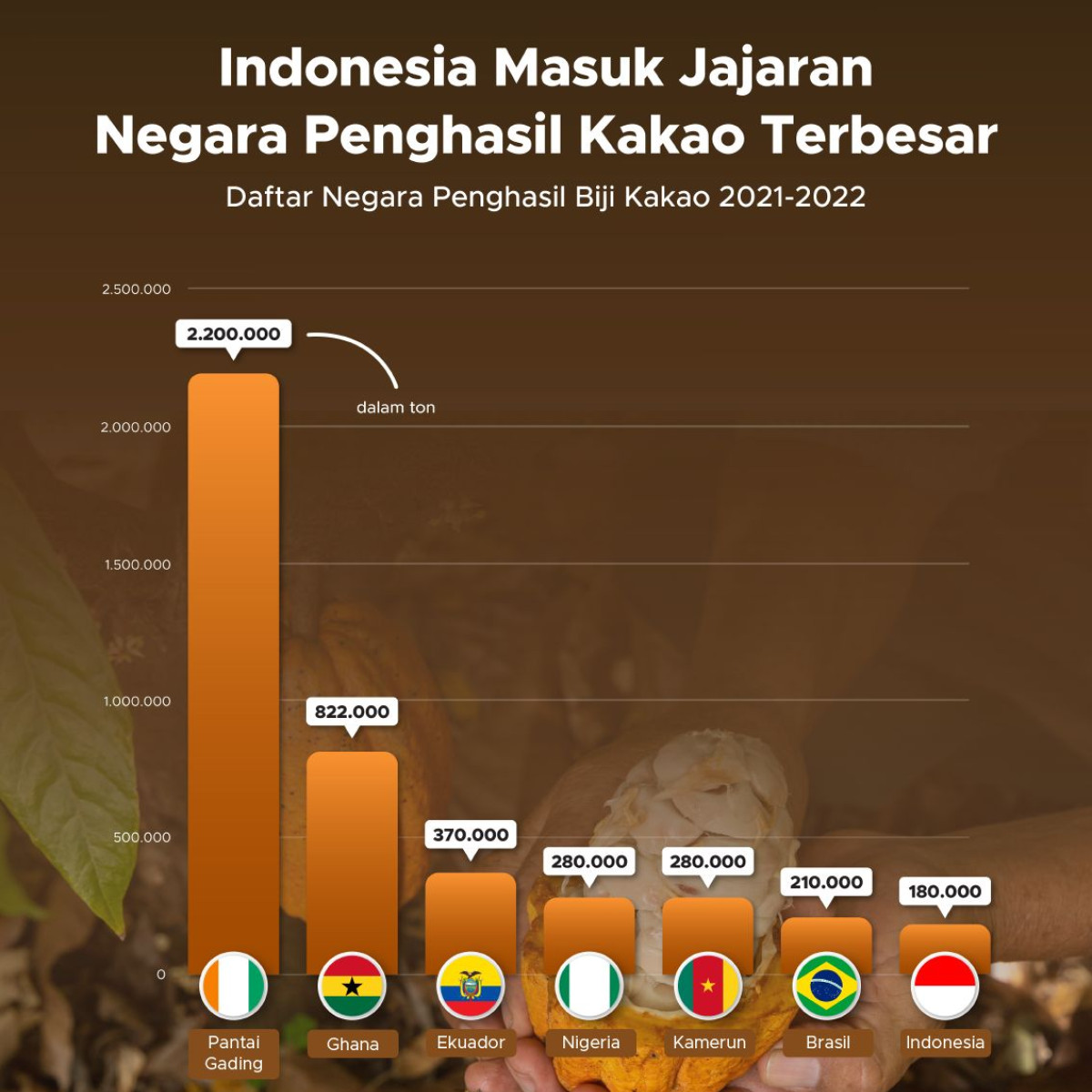 Indonesia Masuk Jajaran Negara Penghasil Kakao Terbesar Goodstats