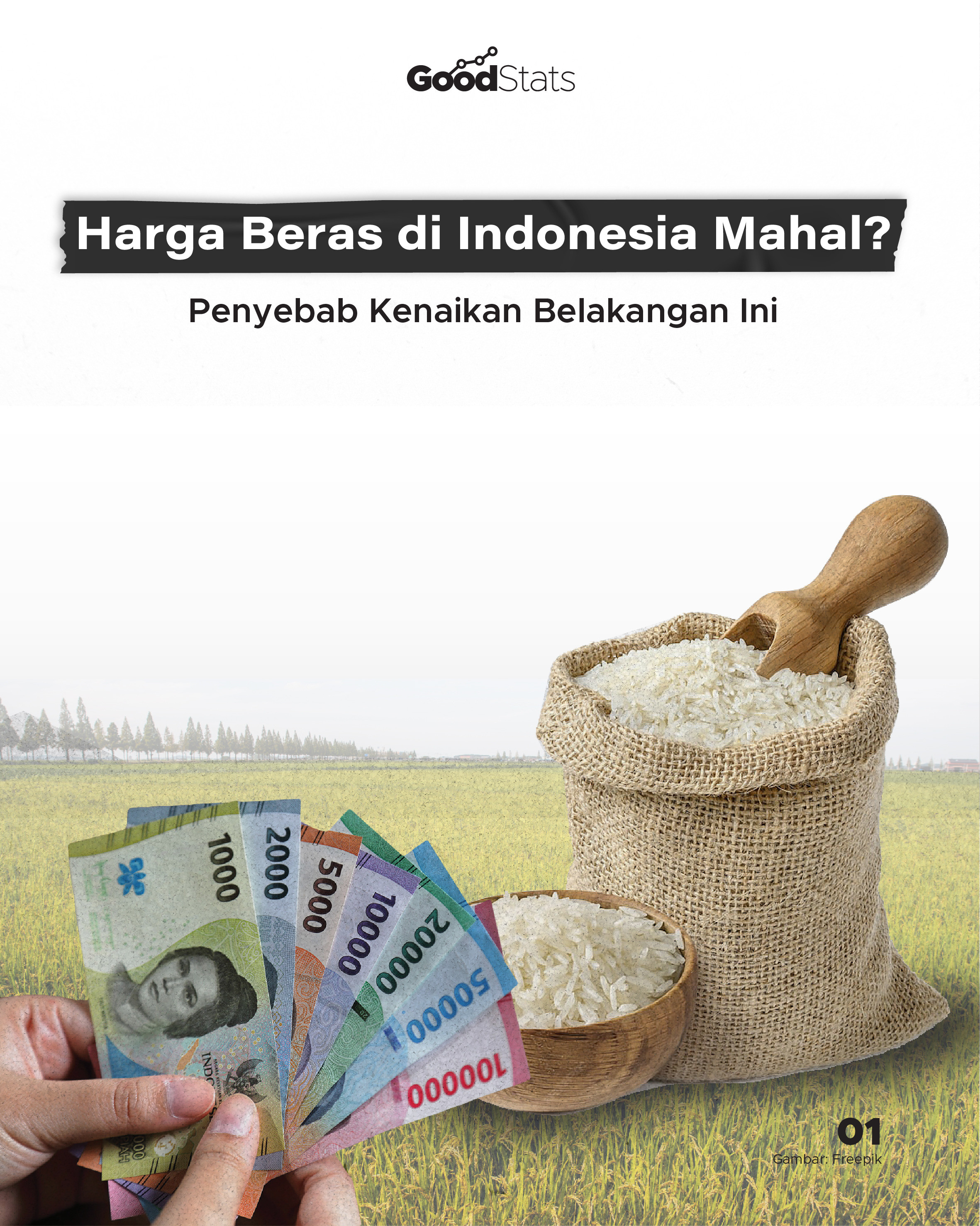 Harga Beras Di Indonesia Mahal? Penyebab Kenaikan Belakangan Ini ...