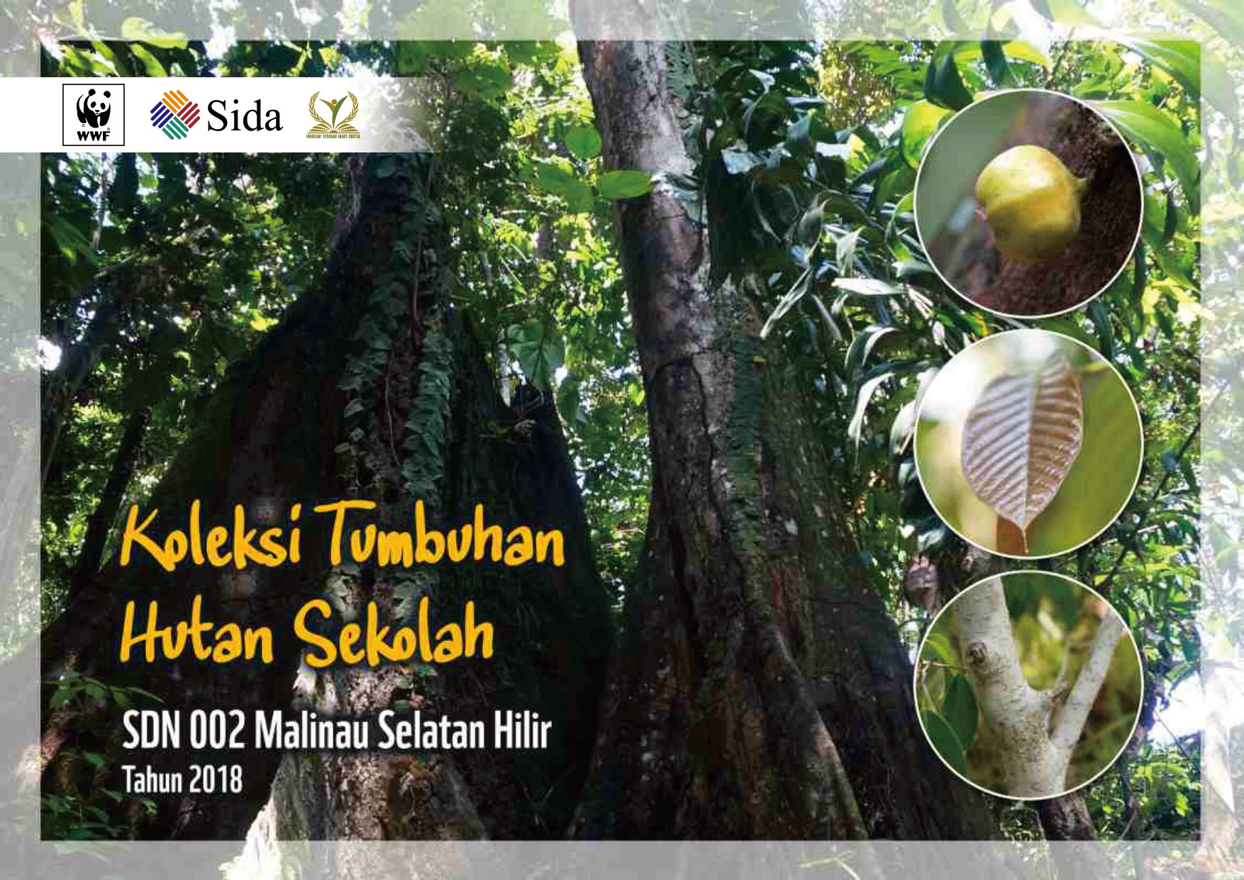 Koleksi Tumbuhan SDN 002 Malinau Selatan Hilir